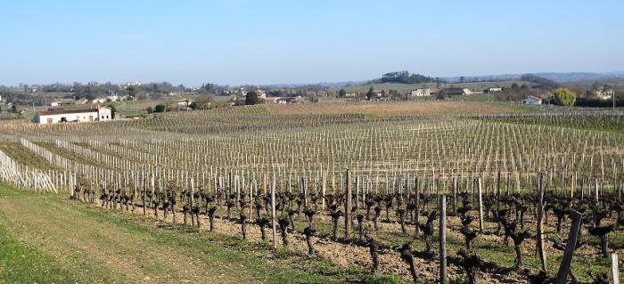 Villegouge_CEN_Aquitaine